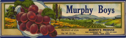 Murphys Boys